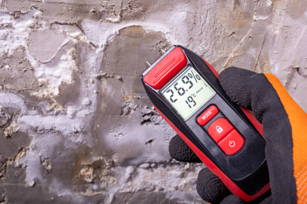 Best DIY Mold Remediation Support Services in Angier, NC